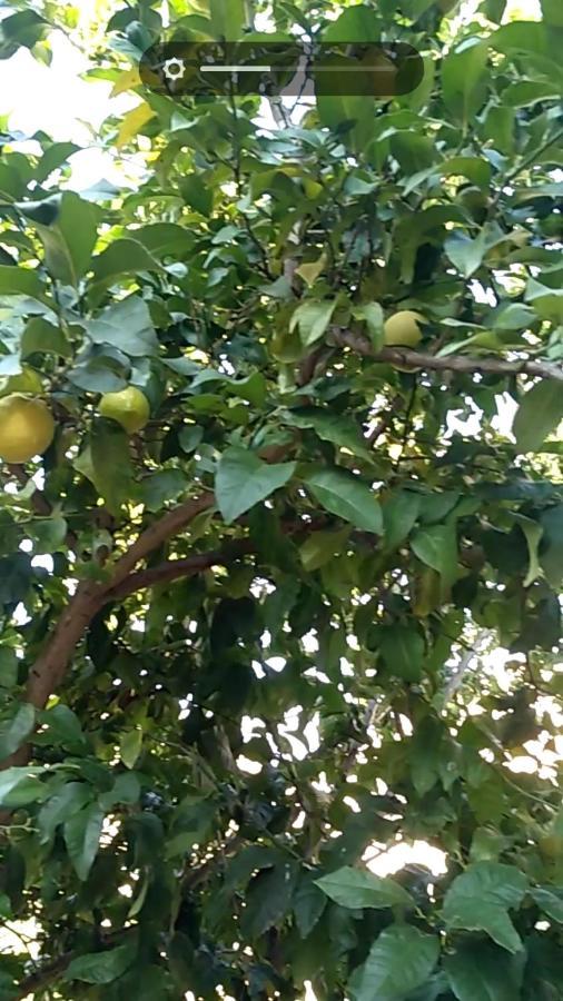 Vila Flora Susak Dış mekan fotoğraf