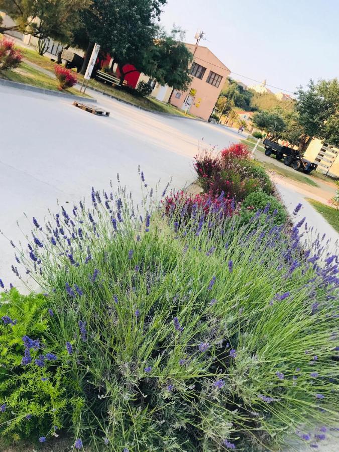 Vila Flora Susak Dış mekan fotoğraf